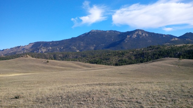 Great Day to be in the saddle