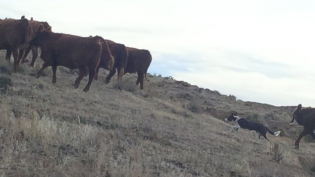 Doing what she does!