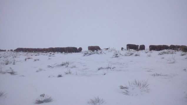Gathering for Breakfast.