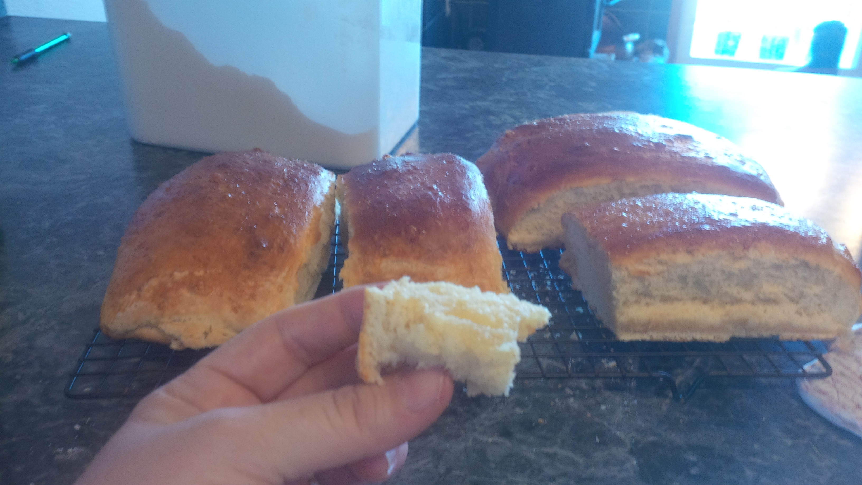 The best and easiest bread I have ever made!