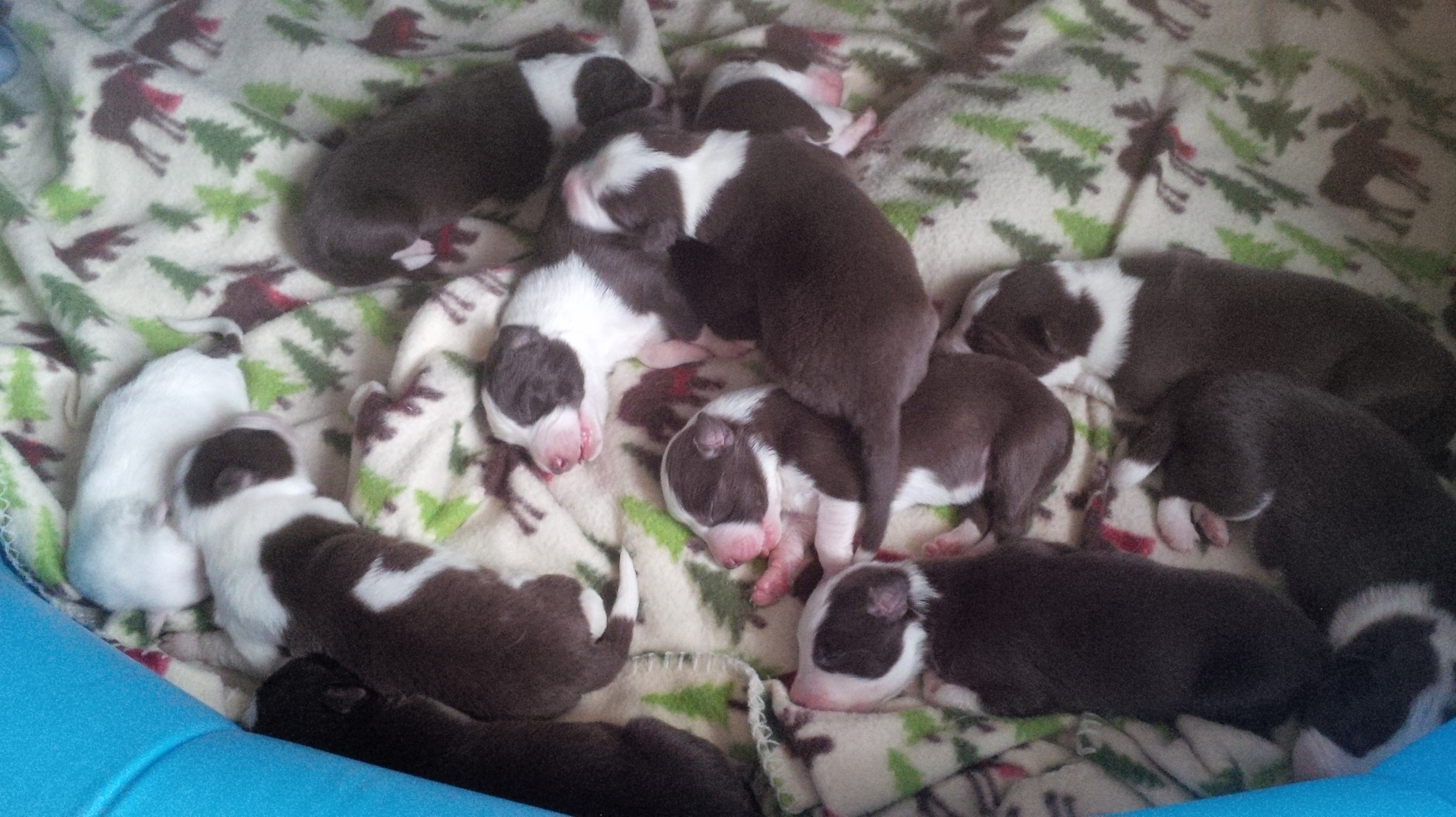 They are almost a week old!