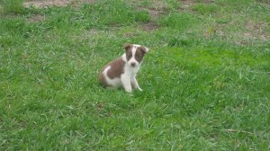 Meg-Sold Aaron  Douglas, Wyoming